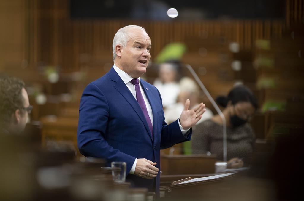 Conservatives Prepared to Debate Assisted Dying Bill Around the Clock: O'Toole