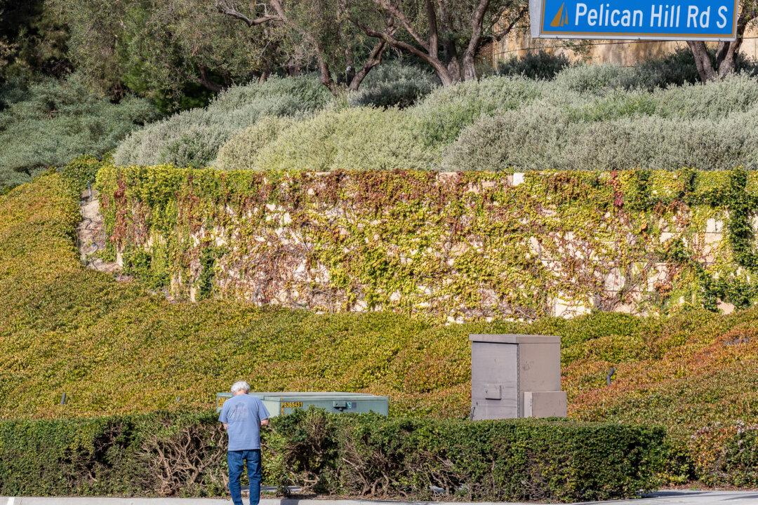 Woman Arrested in DUI Crash That Killed 2 Parents in Newport Beach