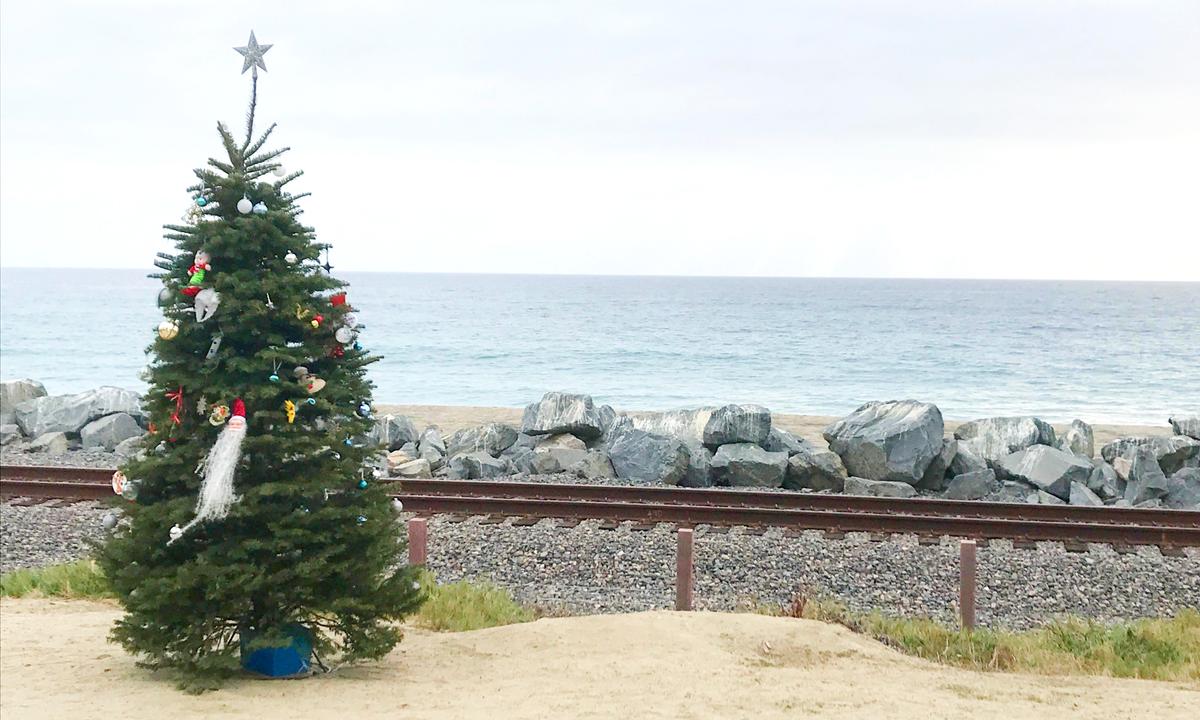 Missing Christmas Tree Saga Gets a Happy Ending