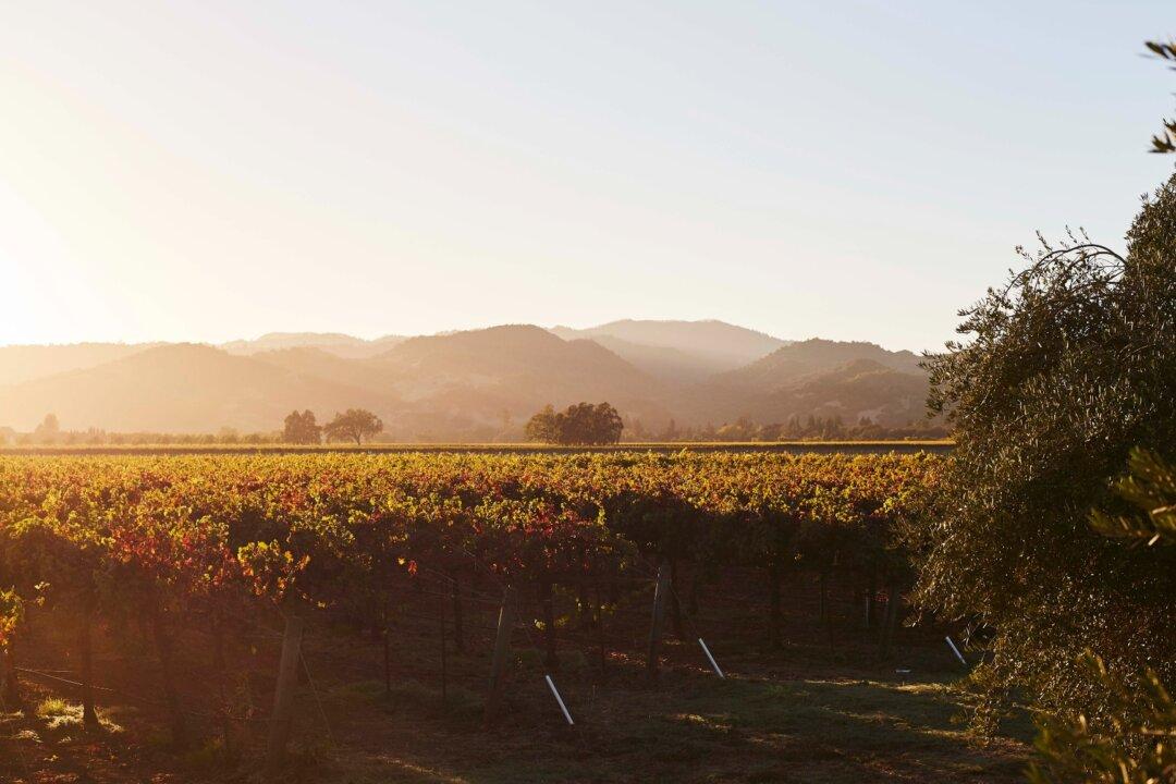 Winery to Watch: Blackbird Vineyards