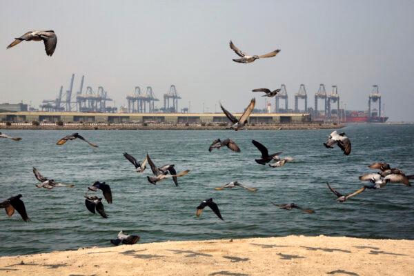 Seagulls fly in front of the Red Sea port city of Jiddah, Saudi Arabia, on Oct. 11, 2019. (Amr Nabil/AP Photo)