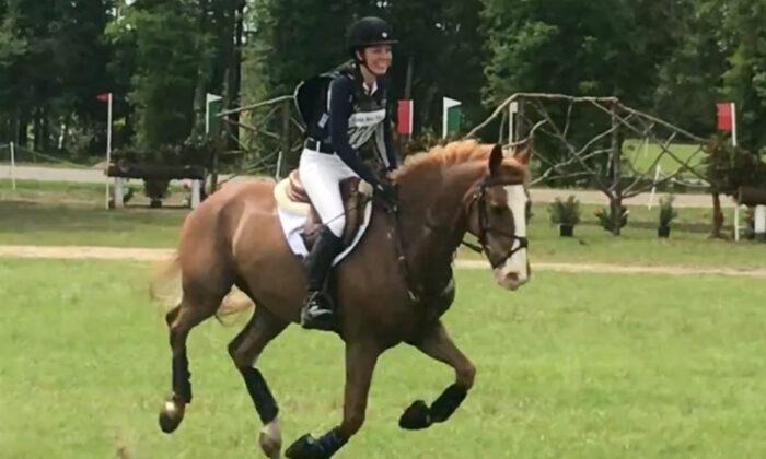 Near-Death Horse Rescued From Suspected Meth Lab Is Now a National Competitor