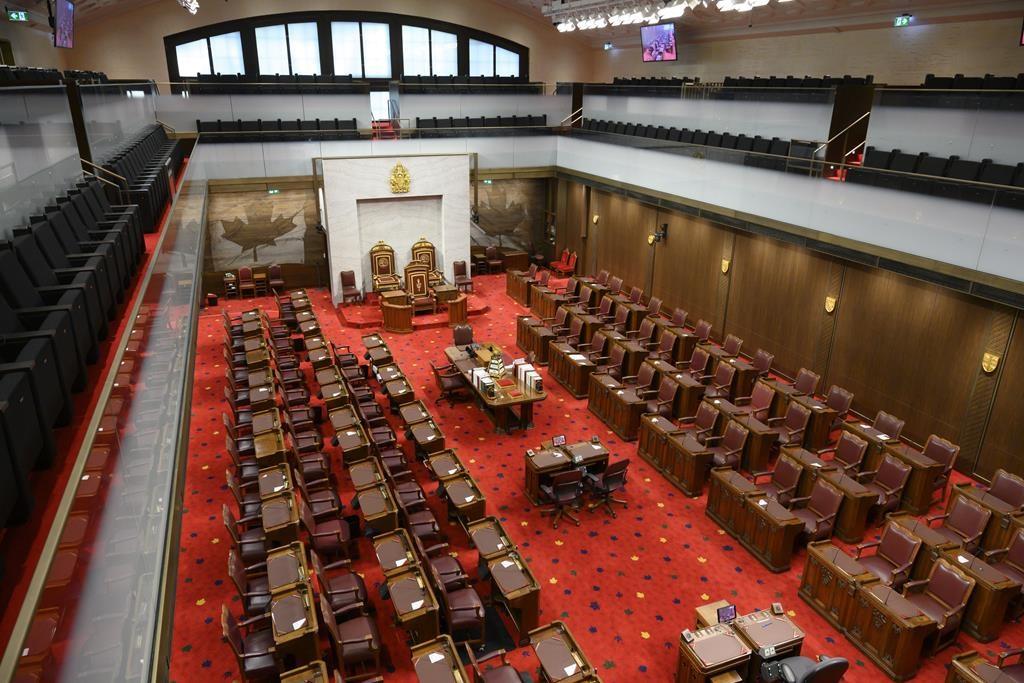 Government Senate Rep Concedes Assisted Dying Bill May Not Be Constitutional