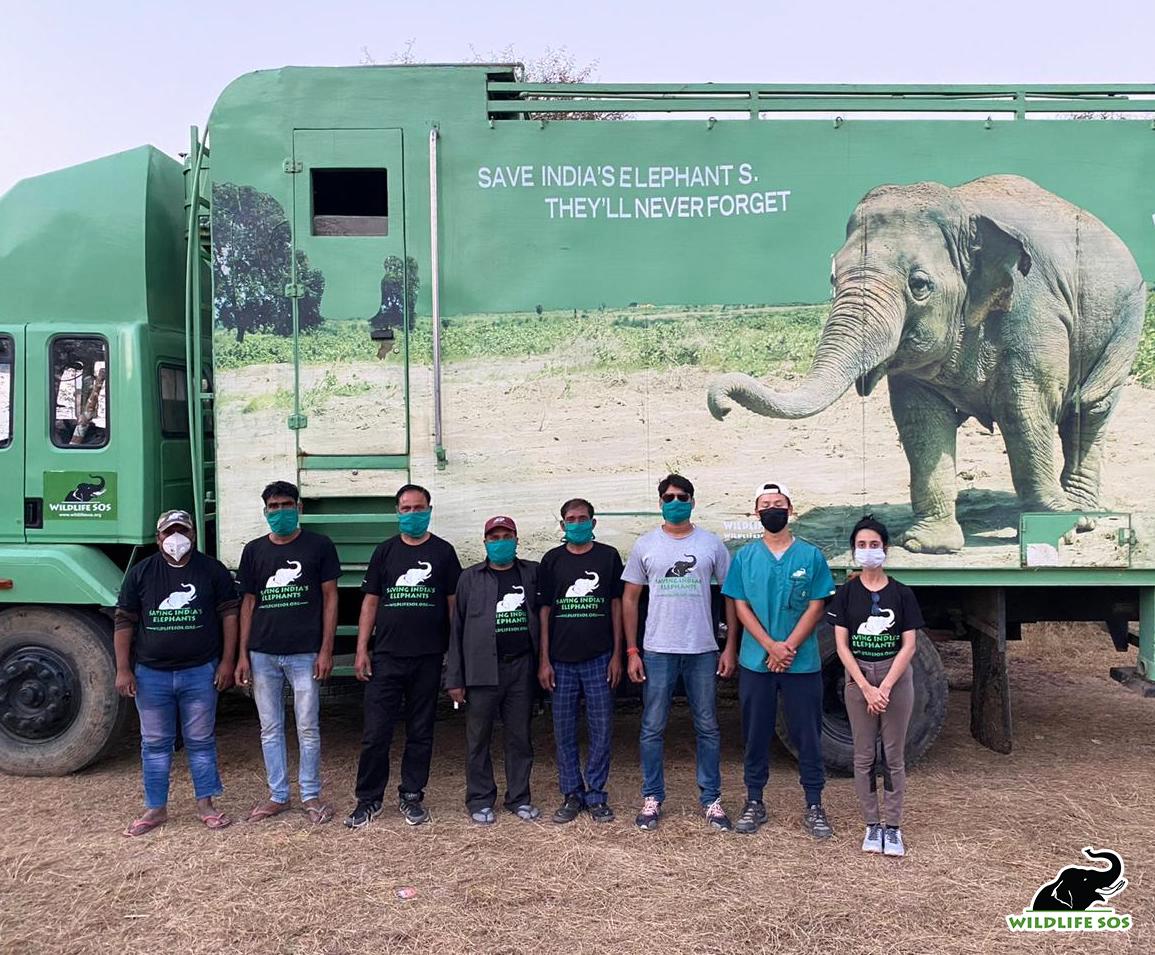The Wildlife SOS team on a mission to bring Jai safely to the Elephant Hospital. (Courtesy of <a href="https://wildlifesos.org/">Wildlife SOS</a>)