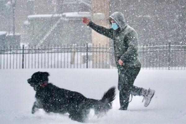 Dr. Charles Blomquist plays with his Newfoundland Daphne at St. Joseph's in Pittsfield, Mass., on Dec. 17, 2020. (Ben Garver/The Berkshire Eagle via AP)