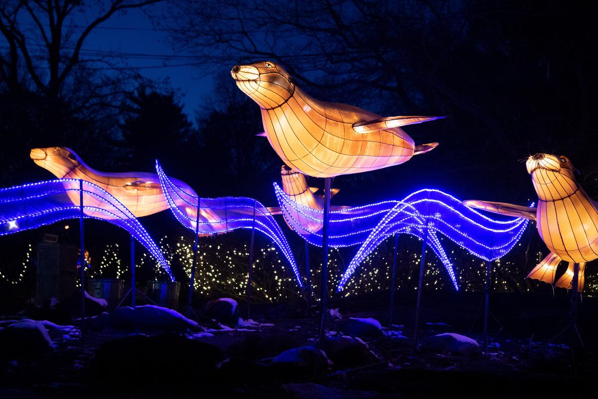 Holiday lights at the Bronx Zoo. (Julie Larsen Maher/Bronx Zoo)