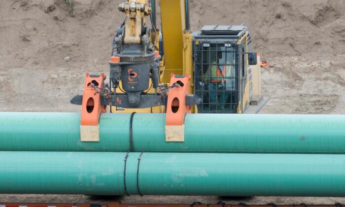 Trans Mountain Pauses Pipeline Expansion Construction After Worker Seriously Injured