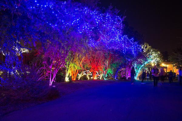 ZooLights at the Phoenix Zoo features millions of lights, hundreds of twinkling displays. (Courtesy of Phoenix Zoo)