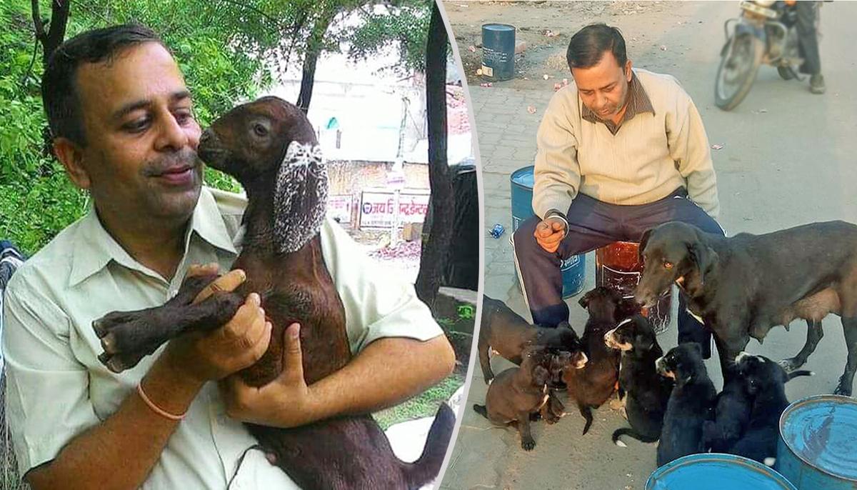 Man Dedicates His Life to Help Animals in Need, Has Rescued Over 900 of Them
