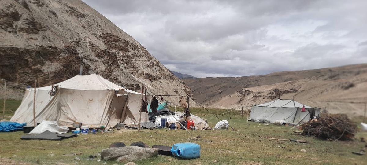 A Dokpa family's tent (nomad in Ladakhi) from the Changpa tribe in Changthang, in Ladakh Union Territory of India in an undated picture. (Picture courtesy Kunchok Stanzin)
