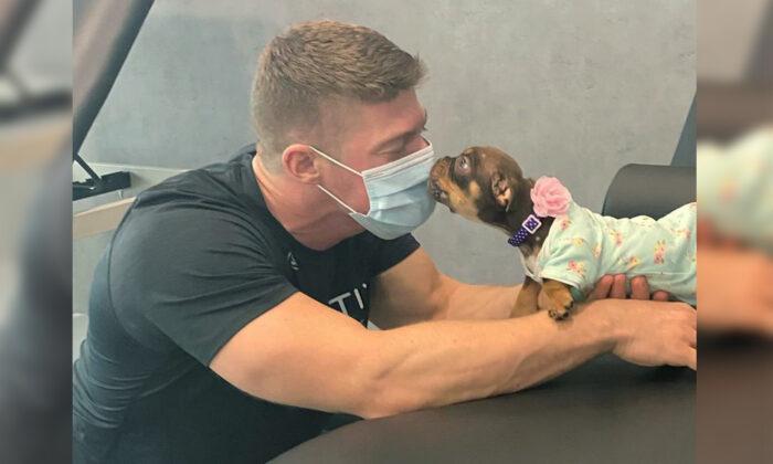 Paralyzed Puppy Nearly Starved to Death by Owners Finds Hope With Physical Therapist