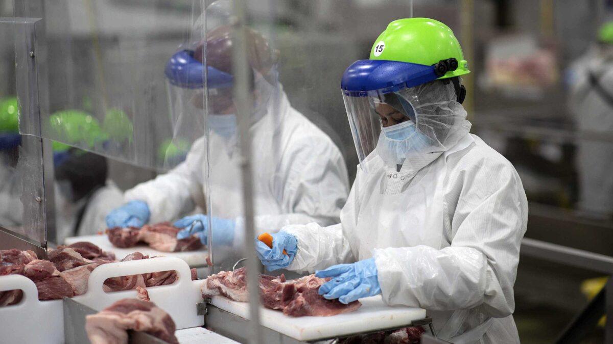 Workers inside Smithfield Foods' Sioux Falls, S.D., pork processing plant wear protective gear and are separated by plastic partitions as they carve up meat on May 20, 2020. (Courtesy Smithfield Foods via AP)