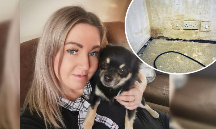 Mom Posts Pics of Baby’s Room ‘Ruined’ by Local Builders–Then Plasterer Offers to Fix for Free