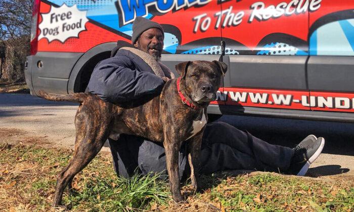 Homeless Man Risks Life to Save 6 Dogs, 10 Cats After Animal Shelter Catches Fire