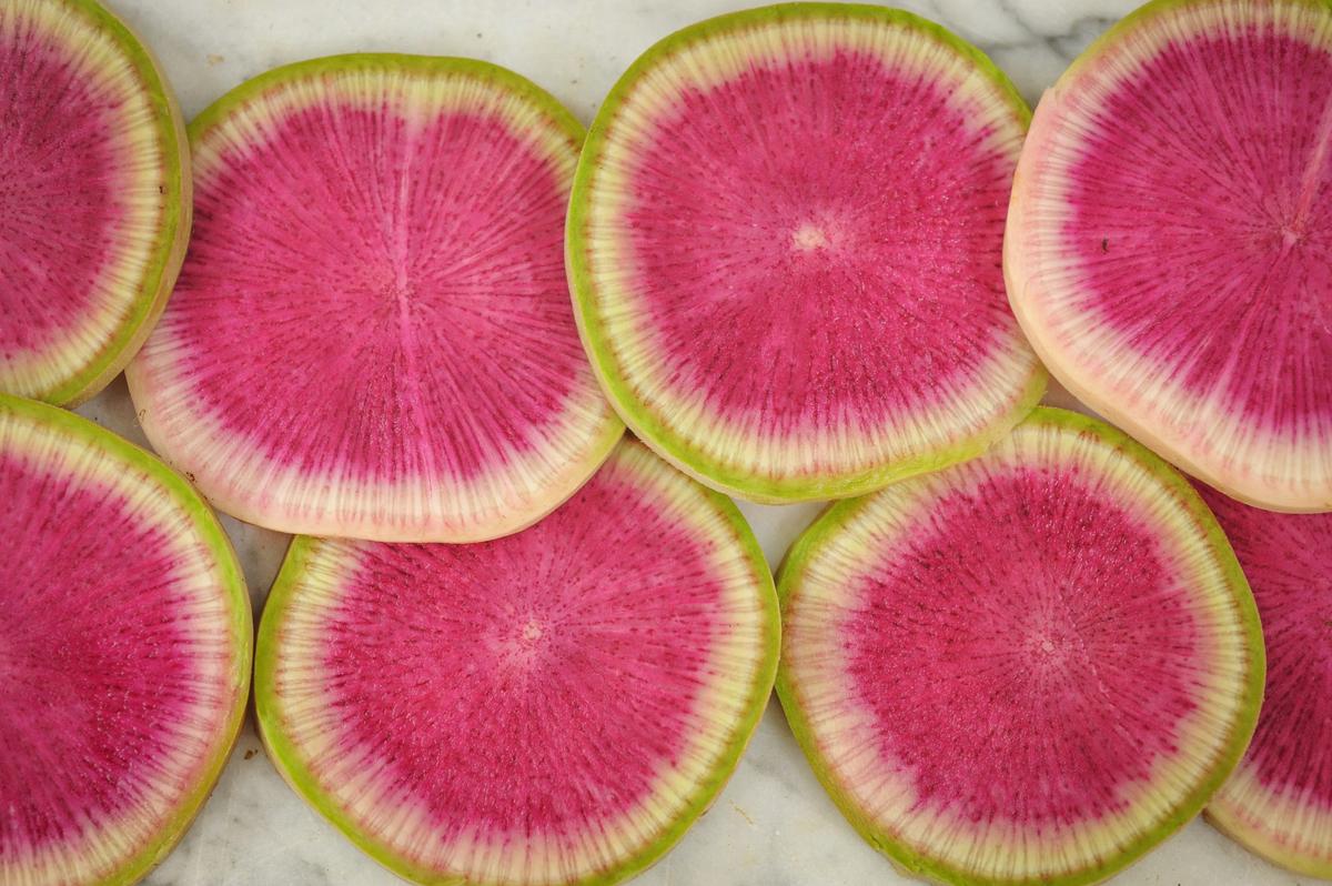 Chinese watermelon radish from Baker Creek Seeds. (Courtesy of Baker Creek Seeds)