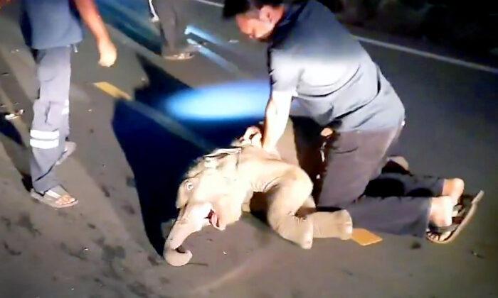 Rescuer Revives Baby Elephant Struck by Motorcycle Using CPR, and the Video Is Amazing