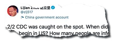 A screenshot of the Twitter account of CCP spokesperson Lijuan Zhao, where he spreads false information about the United States. (Screenshot via The Epoch Times)
