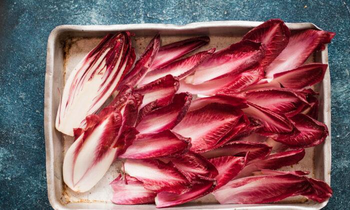 Taming the Chicory