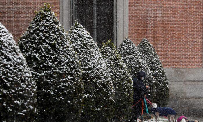 Snowstorm Hits Spain, Madrid Braces For Heaviest Snowfall In Decades