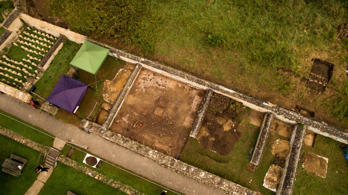 An aerial view of the mosaic at Chedworth Roman Villa, England (Courtesy of Mike Calnan/<a href="https://www.nationaltrust.org.uk/">National Trust</a>)