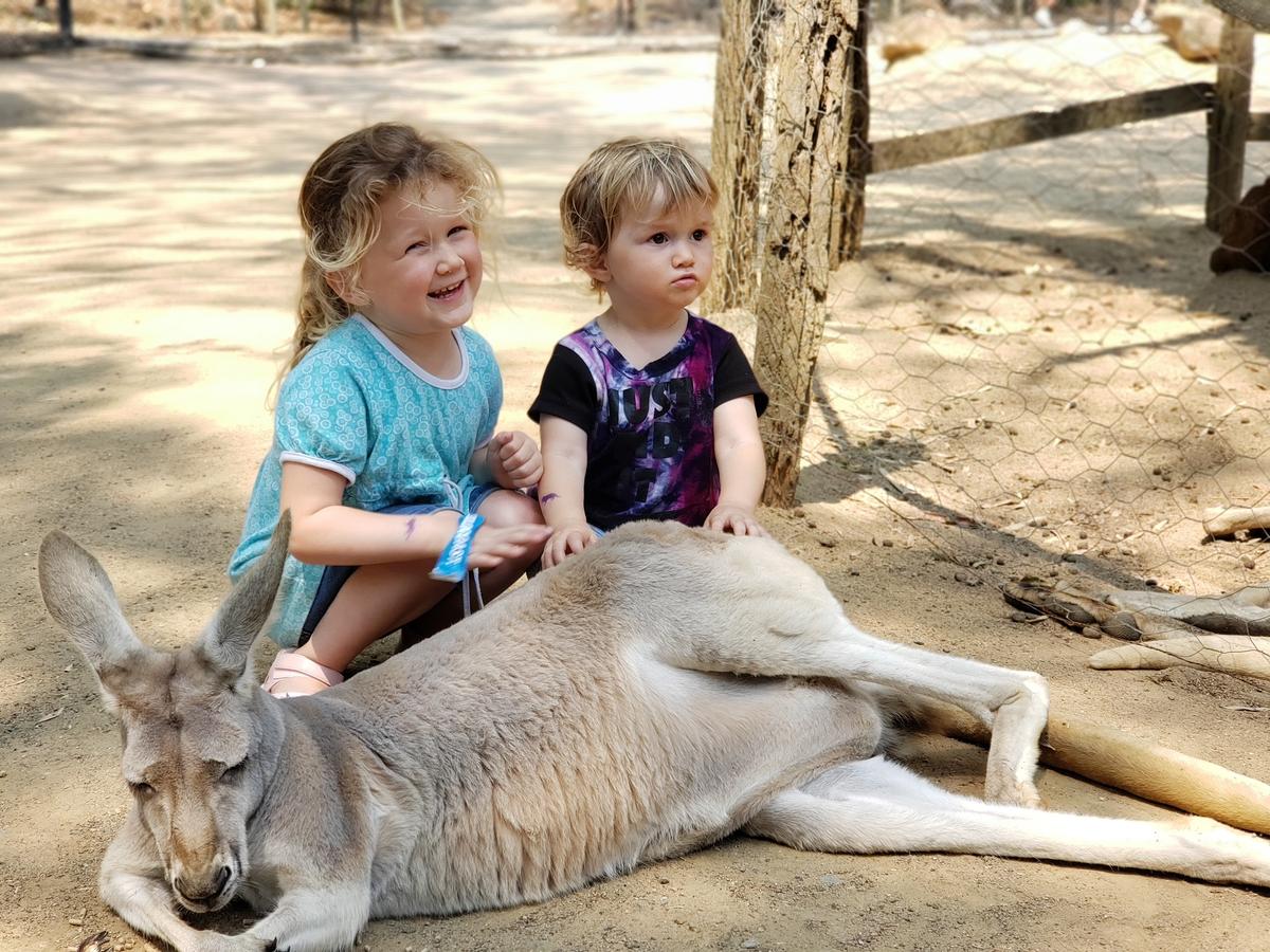 Visiting a kangaroo. (Courtesy of the Morris family)