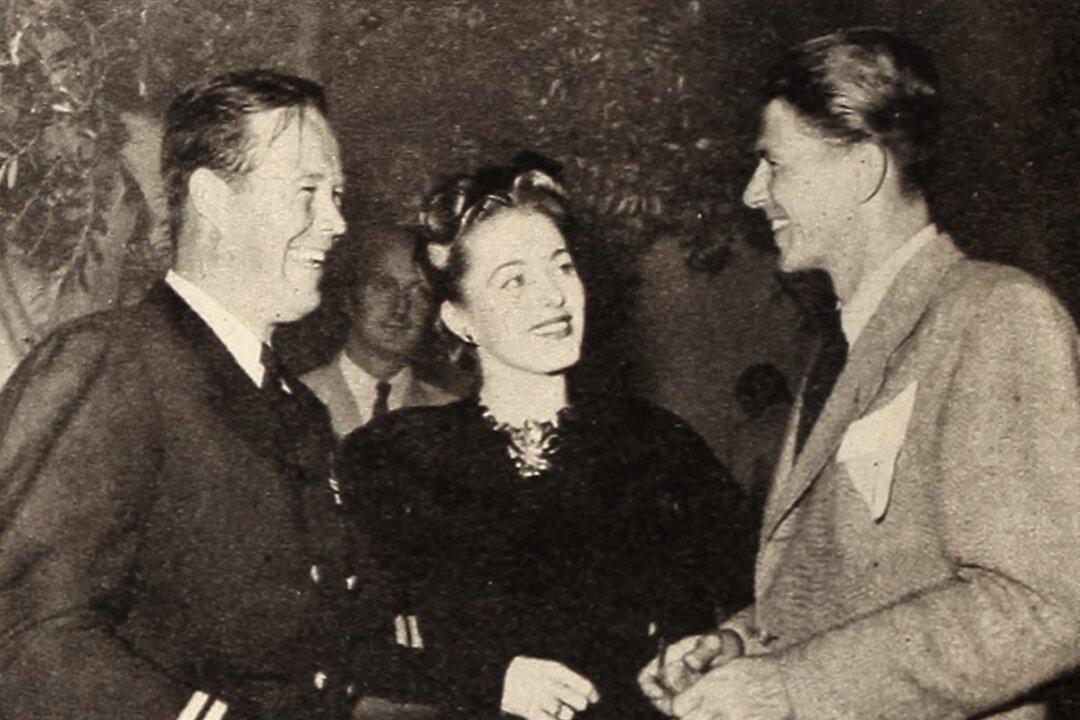 ‘The Voice of the Turtle’: Finding Happiness in Winter