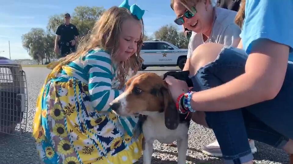 After being rescued, Junior shares a happy reunion with his original family. (Morgan Rivera/<a href="https://www.humanesociety.org/">The HSUS</a>)