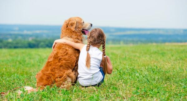 Around one in three Canberrans own a dog. (In Green/Shutterstock)