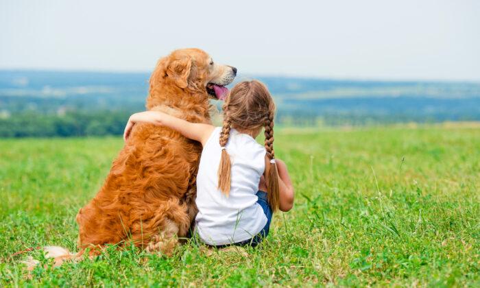 Ask the Vet: To Prevent Bites, Teach Children to Respect Dogs