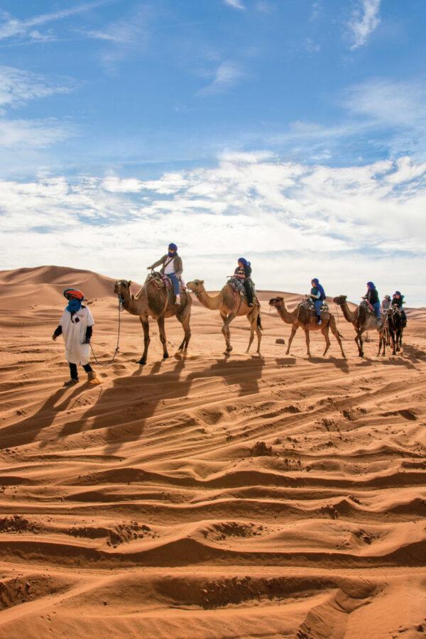 Members of an Overseas Adventure Travel tour group travel by camel in Morocco. (Courtesy of Grand Circle Corp.)