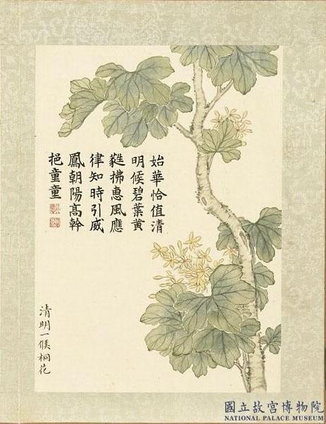 From the book “The 24 Wind Messengers for Blossoms,” Qing Dynasty, by Dong Gao. In “Qingming” (Bright and Clear), the paulownia starts to flower. When the sun travels from the term “Xiaohan” (Moderate Cold) to “Guyu” (Grain Rain), there are 24 pentads during which 24 kinds of flowers will bloom. (The National Palace Museum)