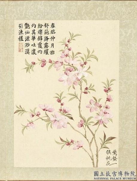 From the book “The 24 Wind Messengers for Blossoms,” Qing Dynasty, by Dong Gao. In “Jingzhe” (Insects Awaken), the peaches begin to blossom. (The National Palace Museum)