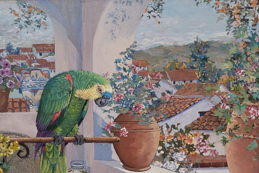 Taking You There: A Veranda of Lush Colors in ‘Parrots and Rooftops’