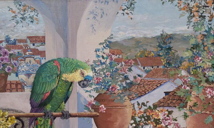Taking You There: A Veranda of Lush Colors in ‘Parrots and Rooftops’