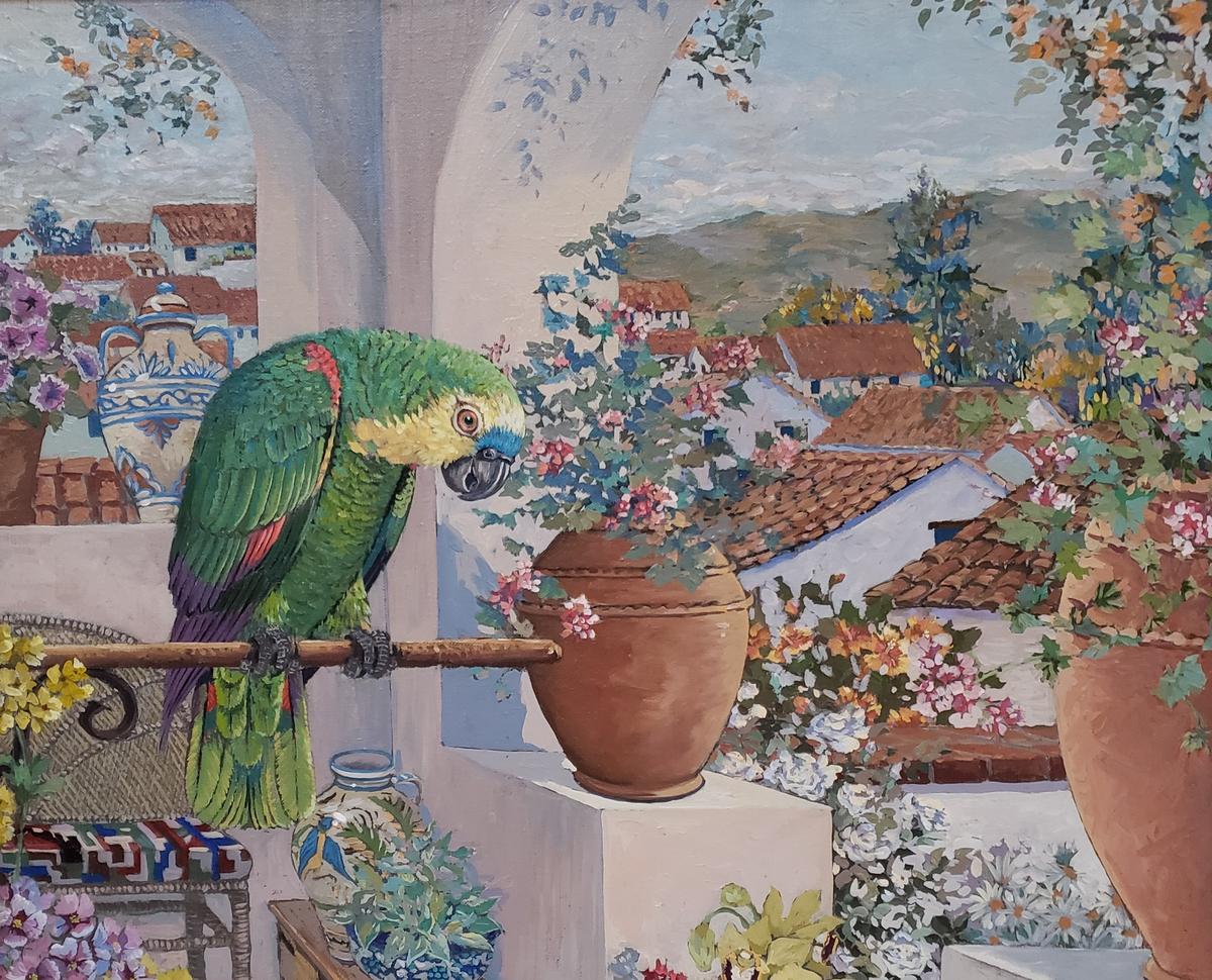 Taking You There: A Veranda of Lush Colors in ‘Parrots and Rooftops’