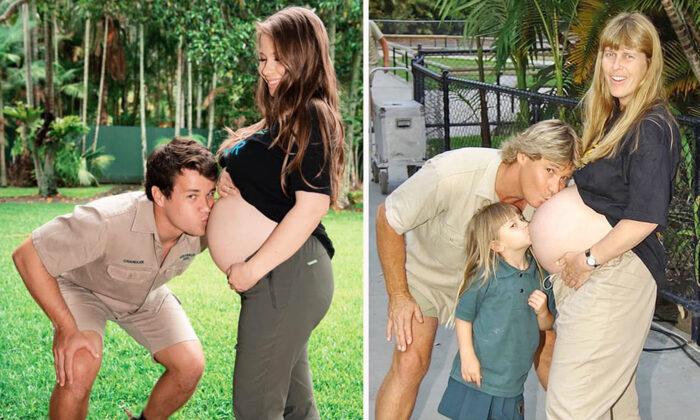 Bindi Irwin Re-creates Parents’ Special Maternity Photo as She Enters Third Trimester