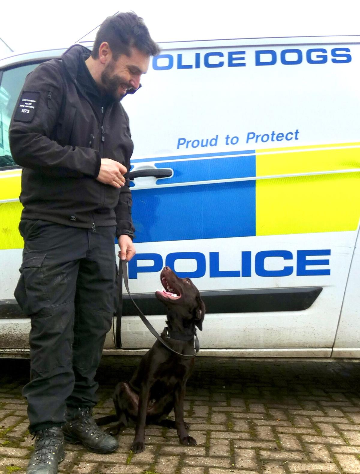 Rolo the puppy with his handler, Police C0nstable Dave Robinson. (Courtesy of <a href="https://beta.northumbria.police.uk/">Northumbria Police</a>)