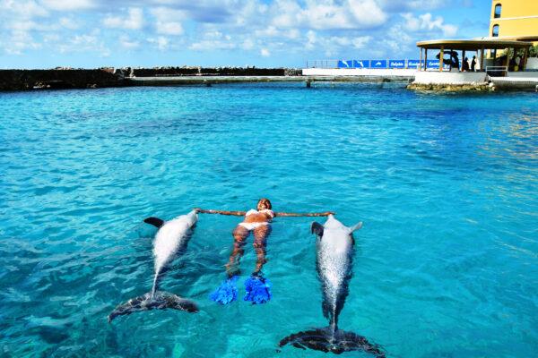 A trainer demonstrates "sunbathing" with dolphins at the Dolphin Academy of Curaçao Sea Aquarium. (Courtesy of Dolphin Academy)