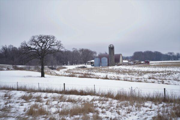 A view of farmland not far from downtown Manchester, Iowa, on Jan. 16, 2021. (Cara Ding/The Epoch Times)