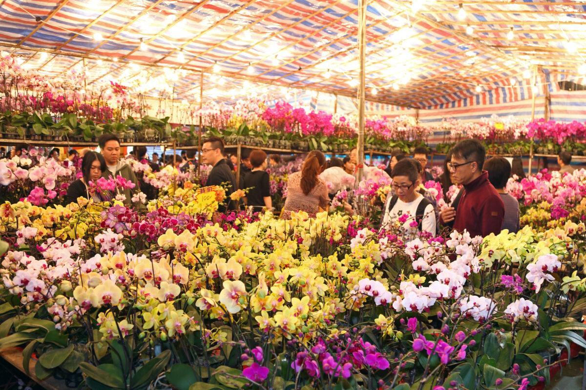 Hongkongers shopped for fresh flowers at the Chinese New Year fair on February 6, 2013. (Pan Zaishu/Epoch Times)