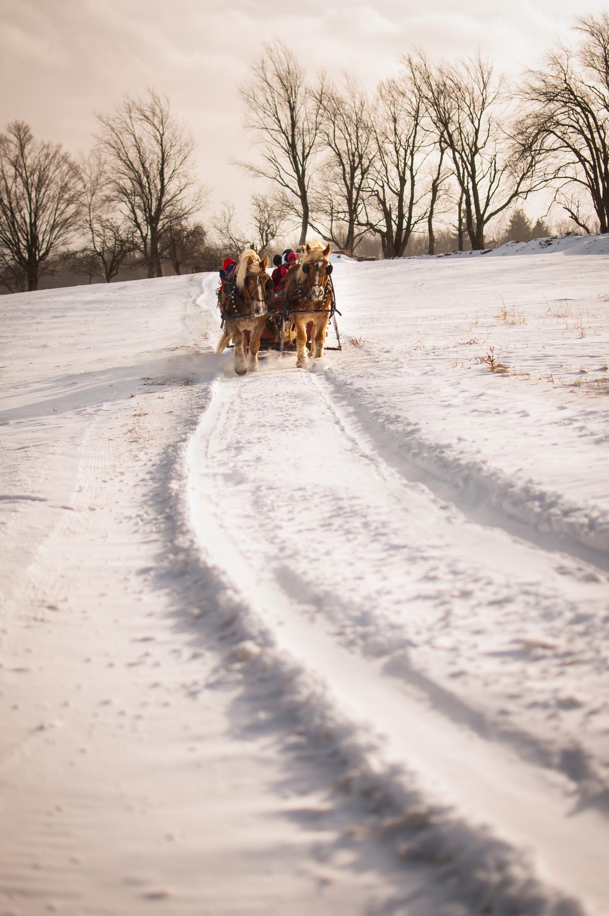 A sleigh ride in Stowe, Vermont. (Courtesy of Mark Vandenberg)
