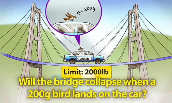 Would a 20-Mile Bridge With 2,000lb Limit Collapse if a Bird Landed on a 2,000lb Car Halfway Across?
