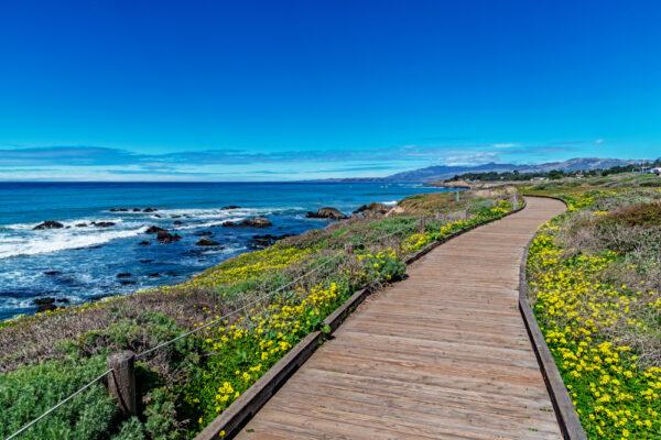 The boardwalk, on Moonstone Beach, Cambria California. (randy andy/Shutterstock)