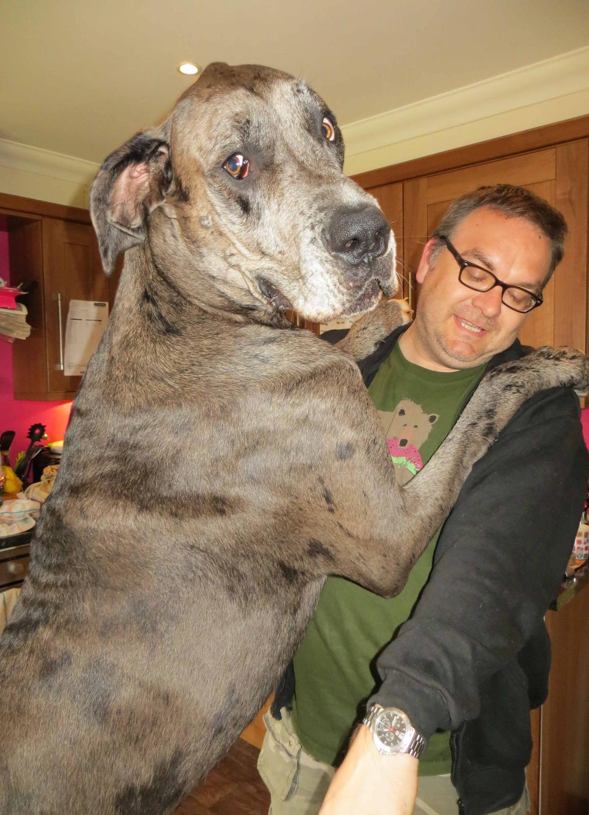 Freddy standing on his hind legs with paws on the shoulders of a family friend, Mark (Caters News)