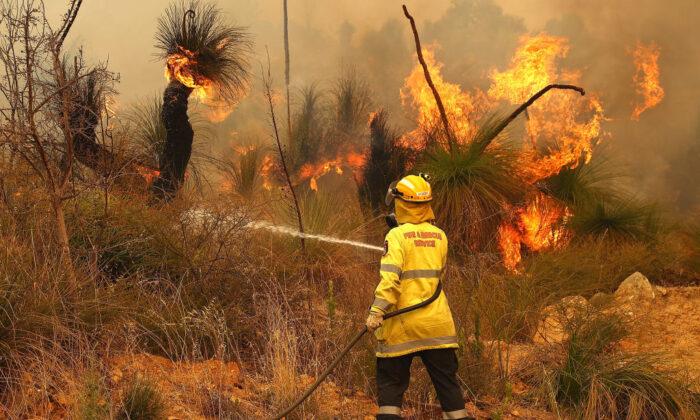 El Niño Weather Event Officially Declared, Raising Bushfire Risk
