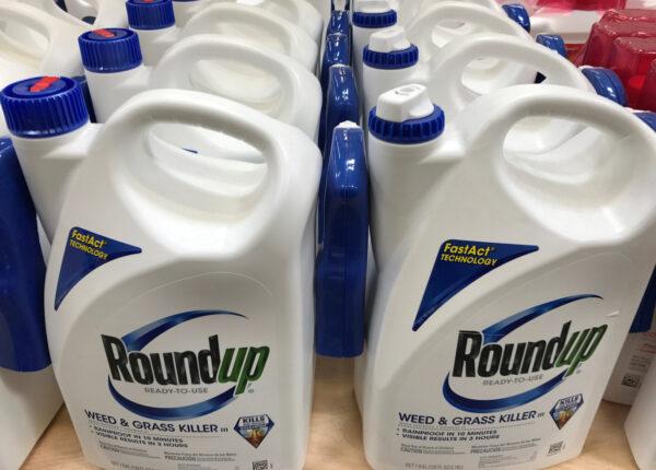 Monsanto Co's Roundup is shown for sale in Encinitas, California, June 26, 2017. (Mike Blake/Reuters)