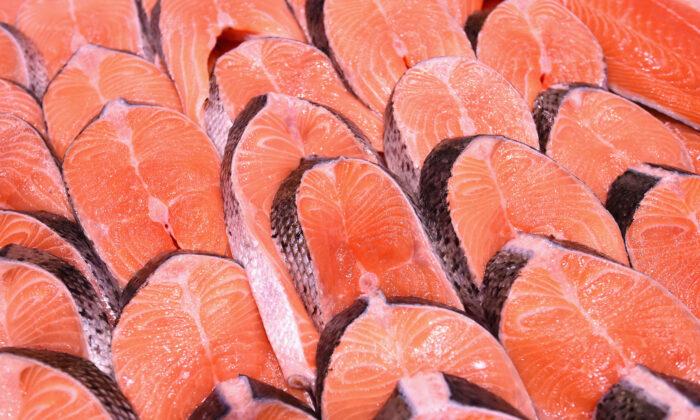 Ocean Energy Tech Could Land Green Salmon on the Menu