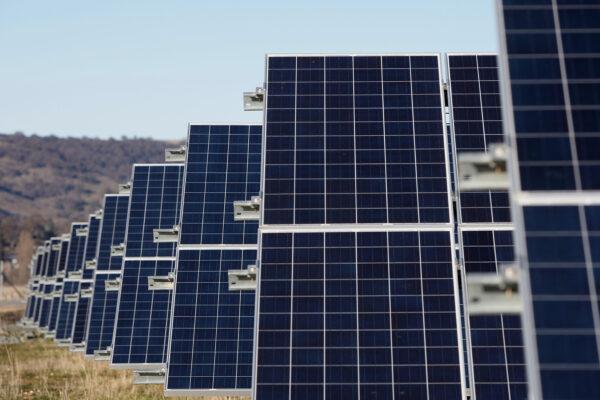 The Royalla Solar Farm in Canberra, Australia on Jun. 28, 2016. (Lisa Maree Williams/Getty Images)