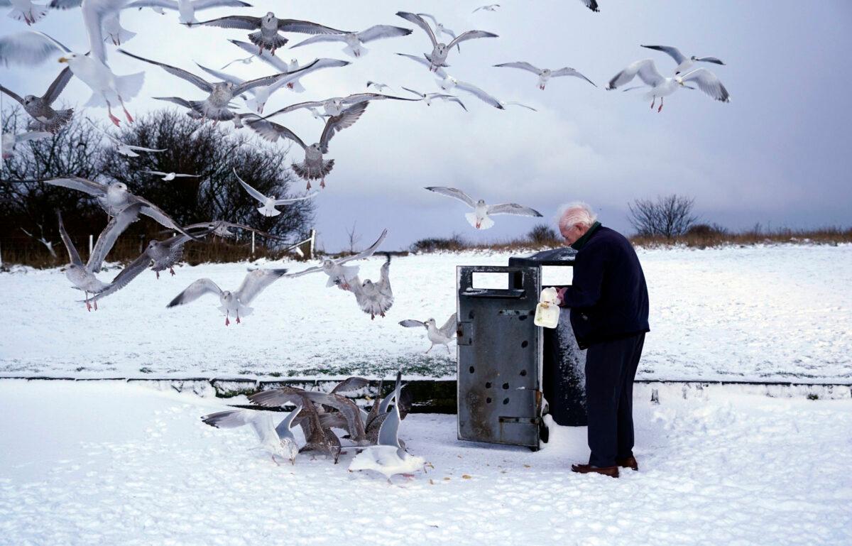 A man feeds scraps to seagulls as the cold snap continues to grip much of the nation, in Whitley Bay, England, on Feb. 10, 2021. (Owen Humphreys/PA via AP)