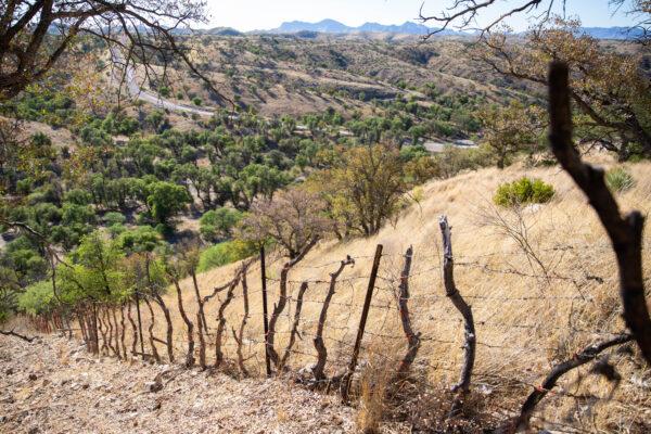 The U.S.-Mexico border where the fence becomes a small barbed wire fence, west of Nogales, Ariz., on May 23, 2018. (Samira Bouaou/The Epoch Times)